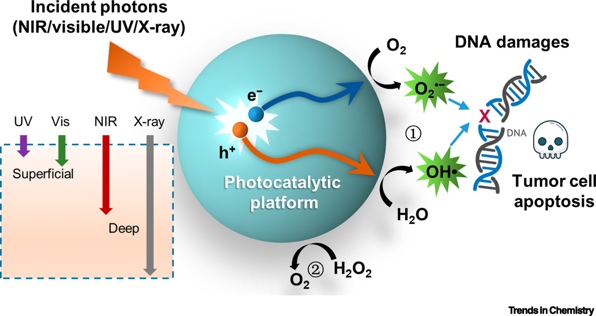 世界杯投注平台