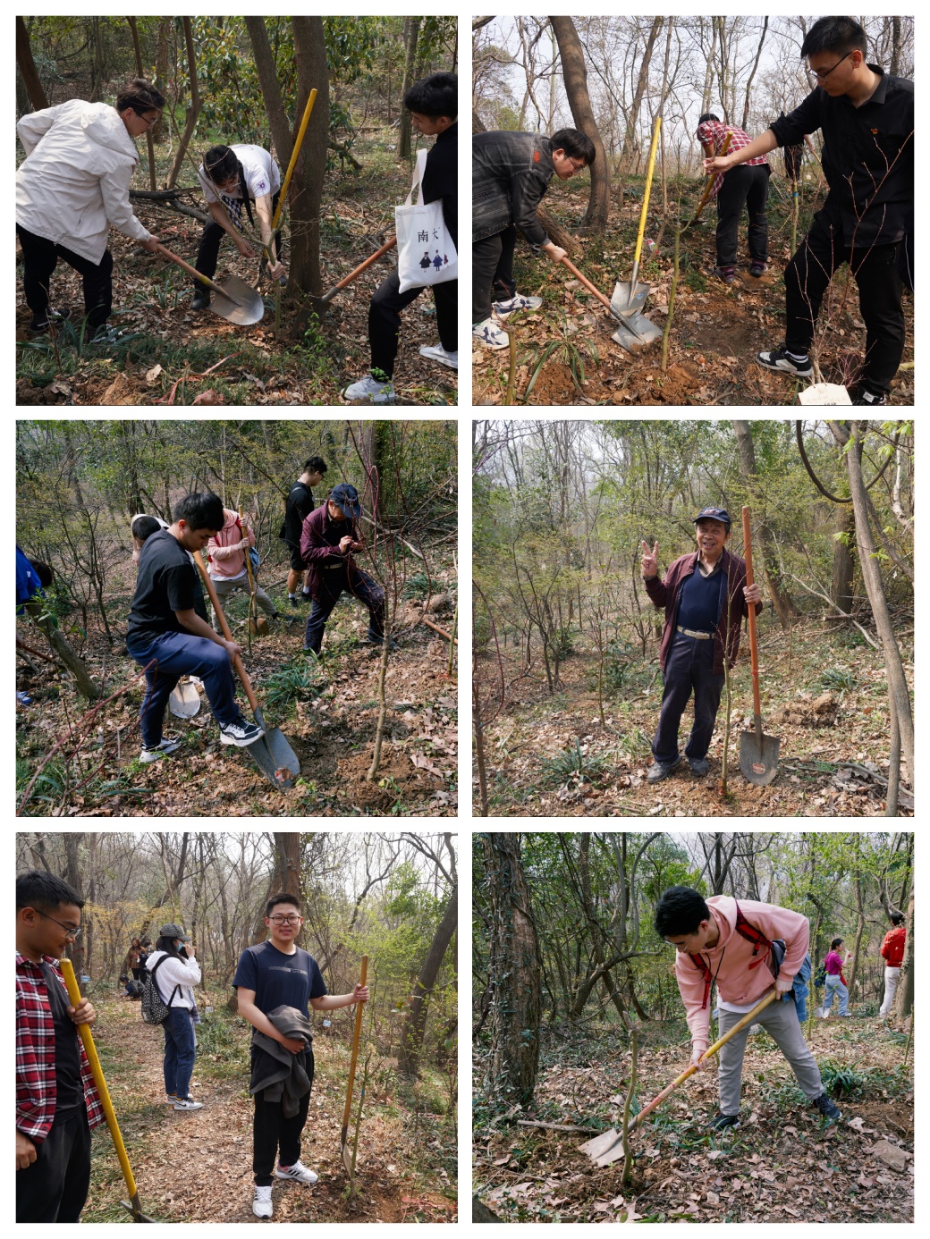 世界杯投注平台