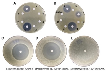 6 世界杯投注平台