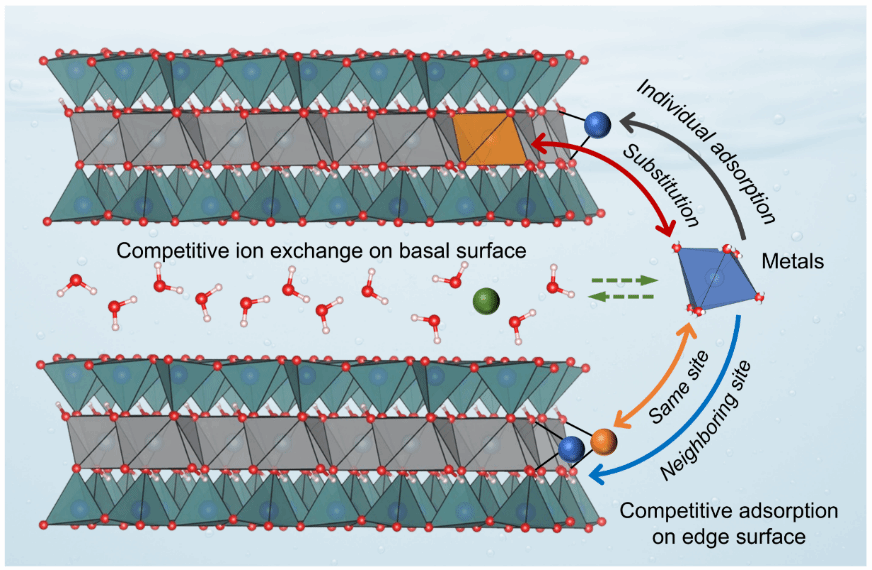 世界杯投注平台