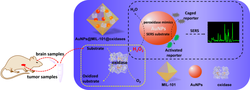 世界杯投注平台