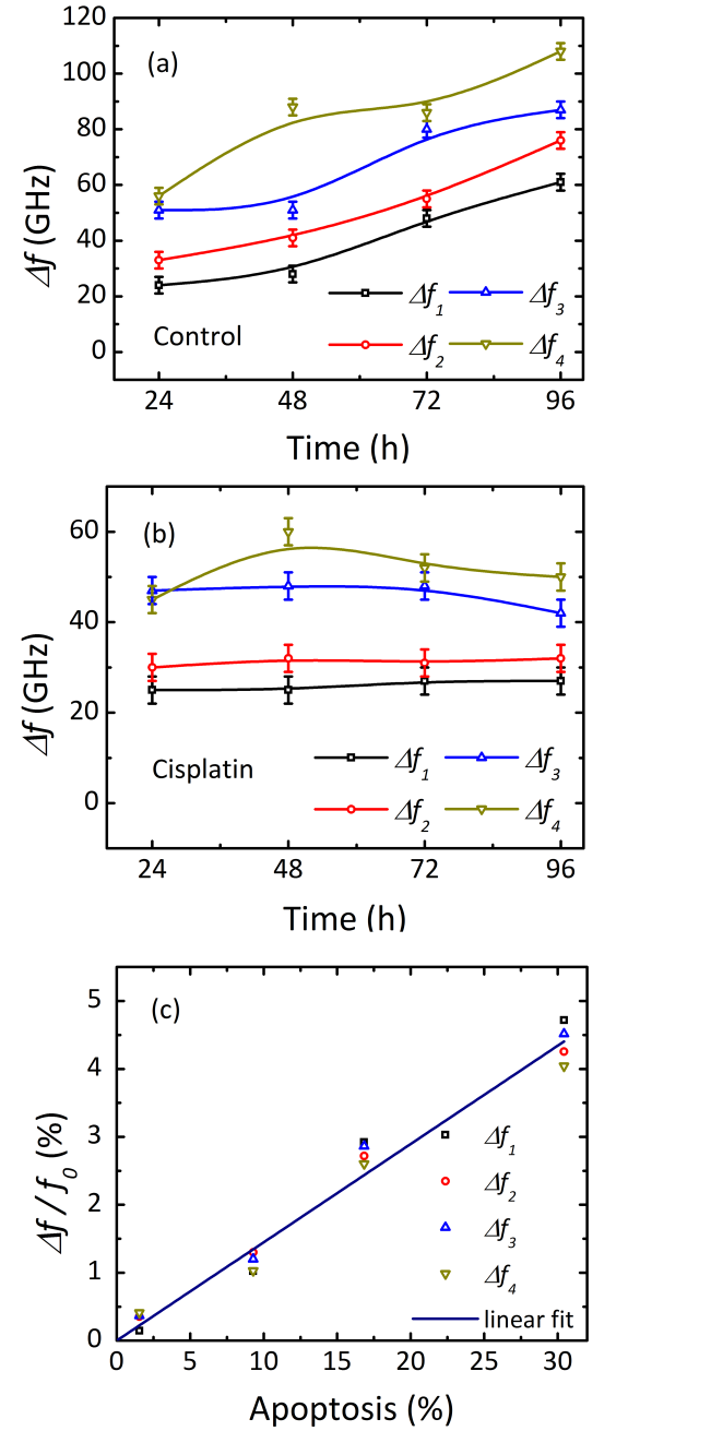 世界杯投注平台