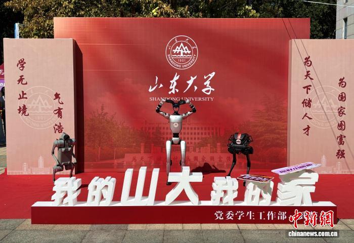 世界杯投注平台