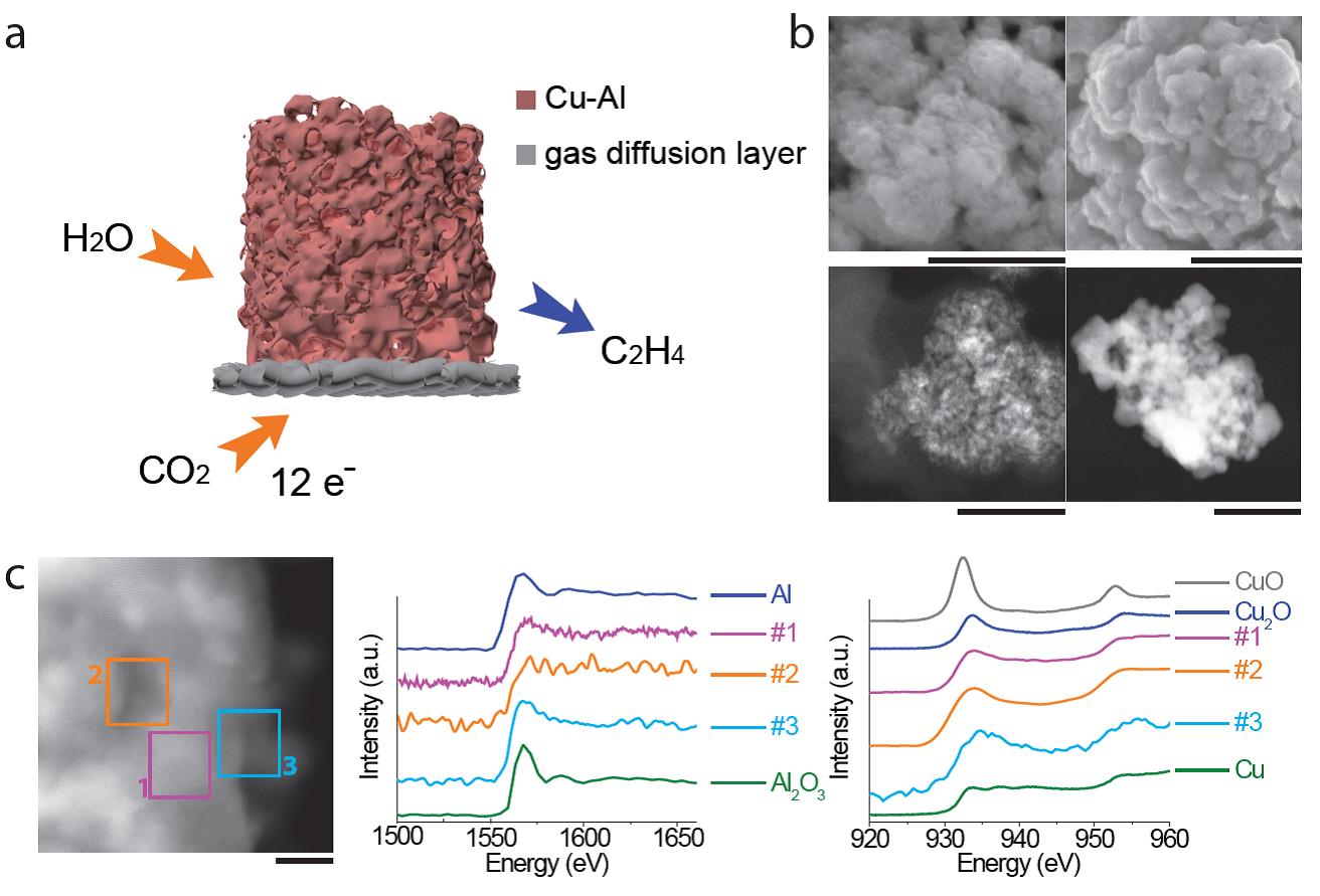 世界杯投注平台