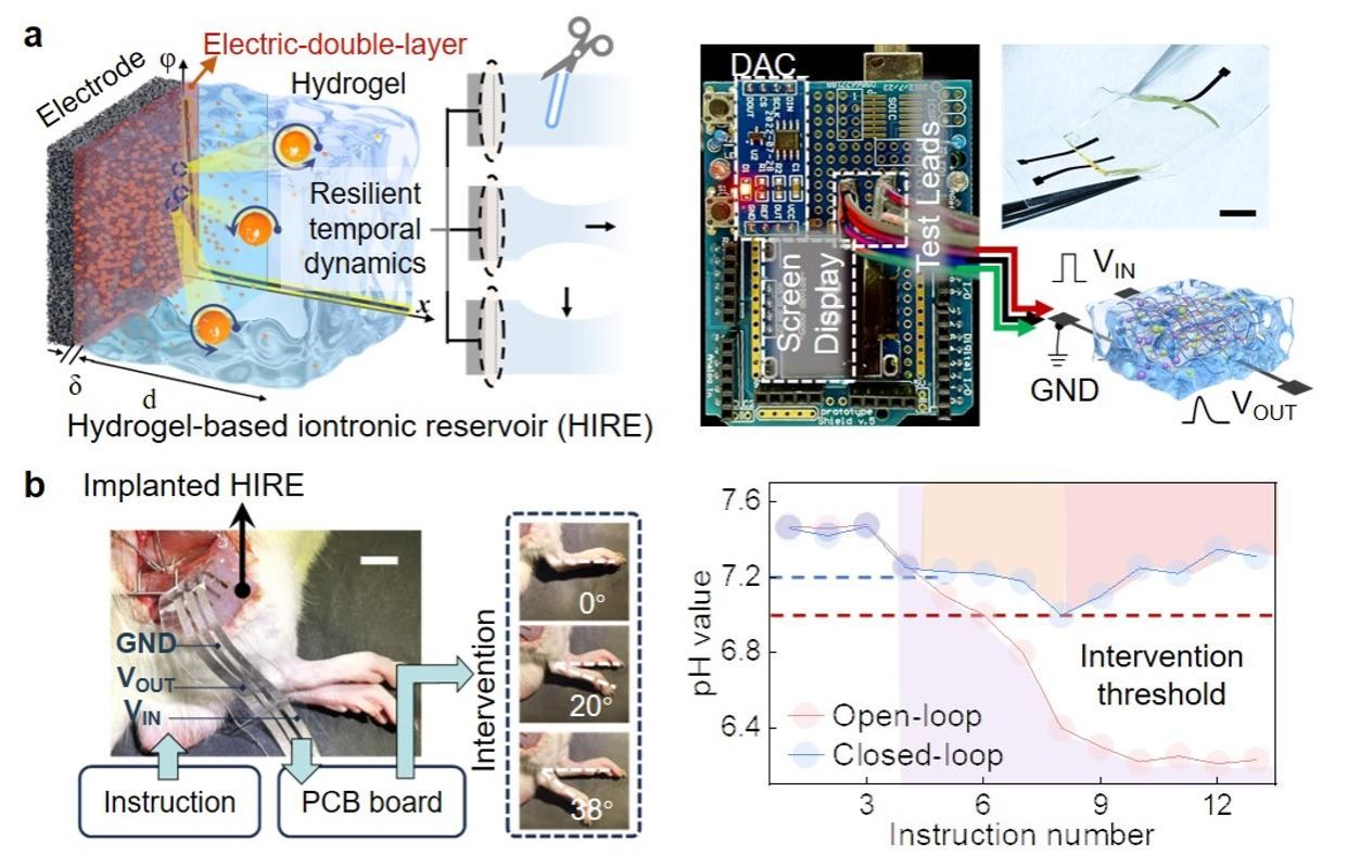 世界杯投注平台