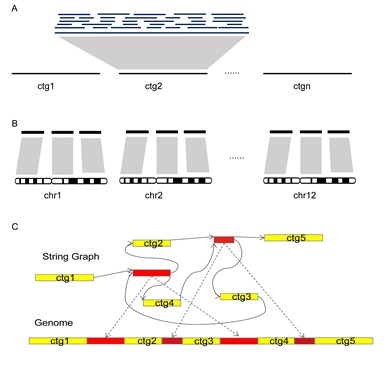6 世界杯投注平台