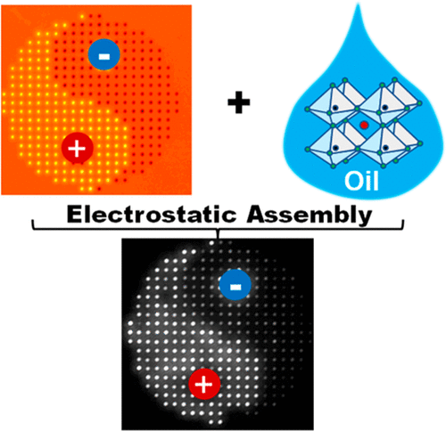 世界杯投注平台