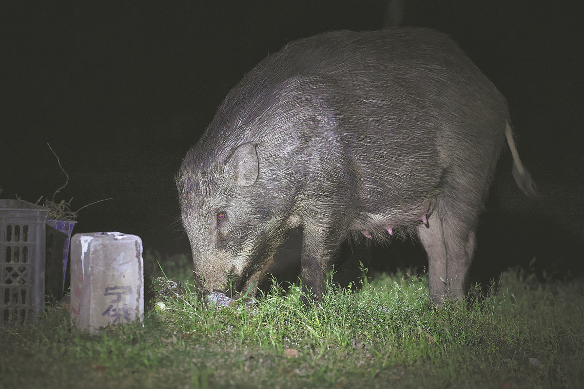 世界杯投注平台