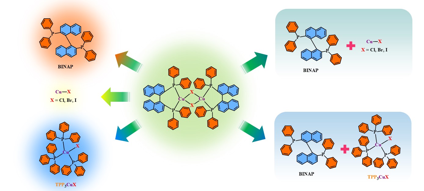 世界杯投注平台