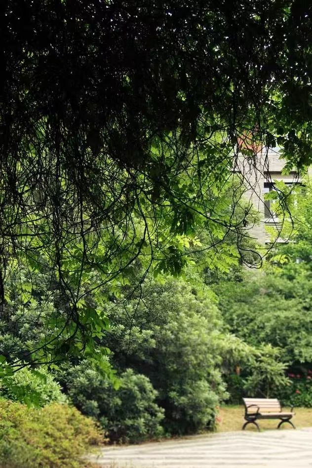 世界杯投注平台