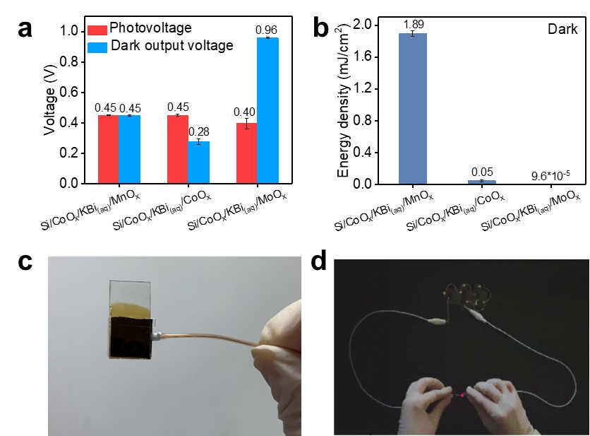 世界杯投注平台