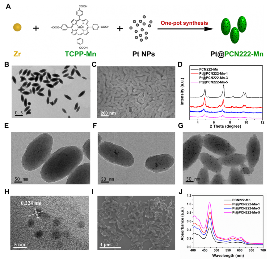 世界杯投注平台