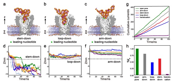 世界杯投注平台