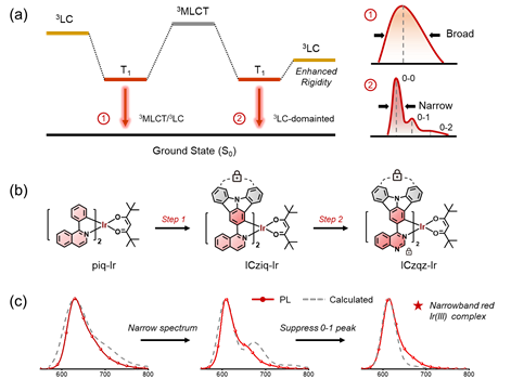 世界杯投注平台