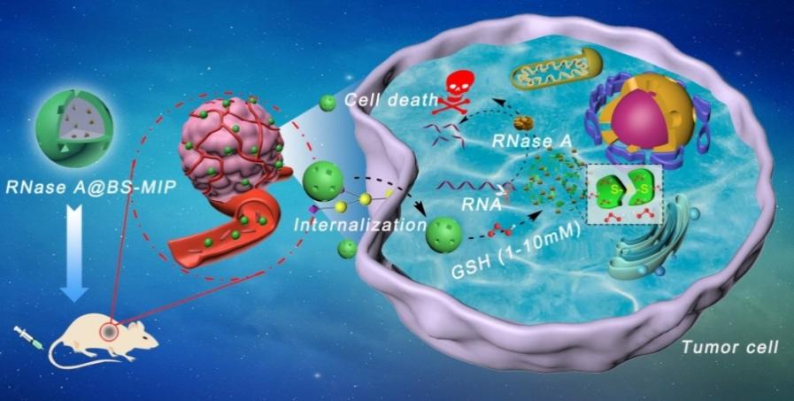 世界杯投注平台