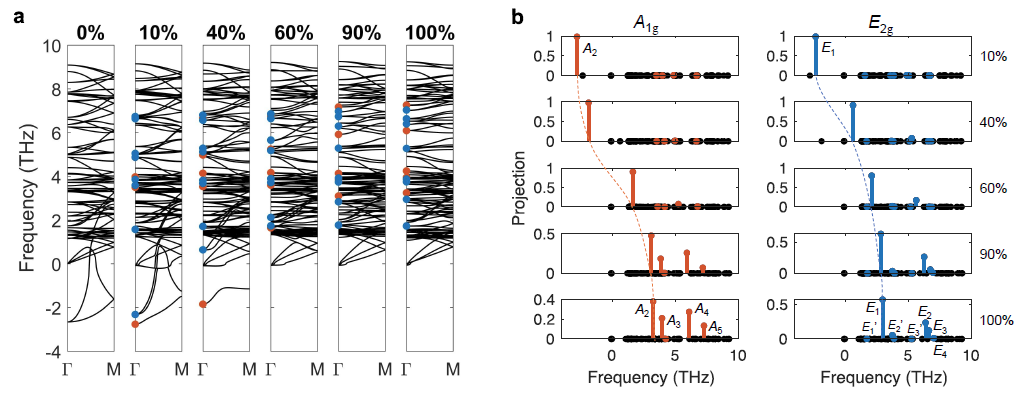 世界杯投注平台