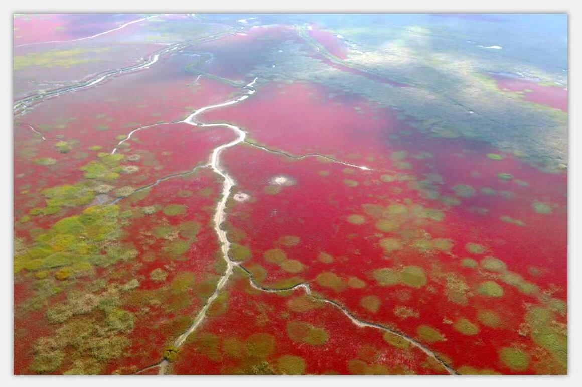 世界杯投注平台