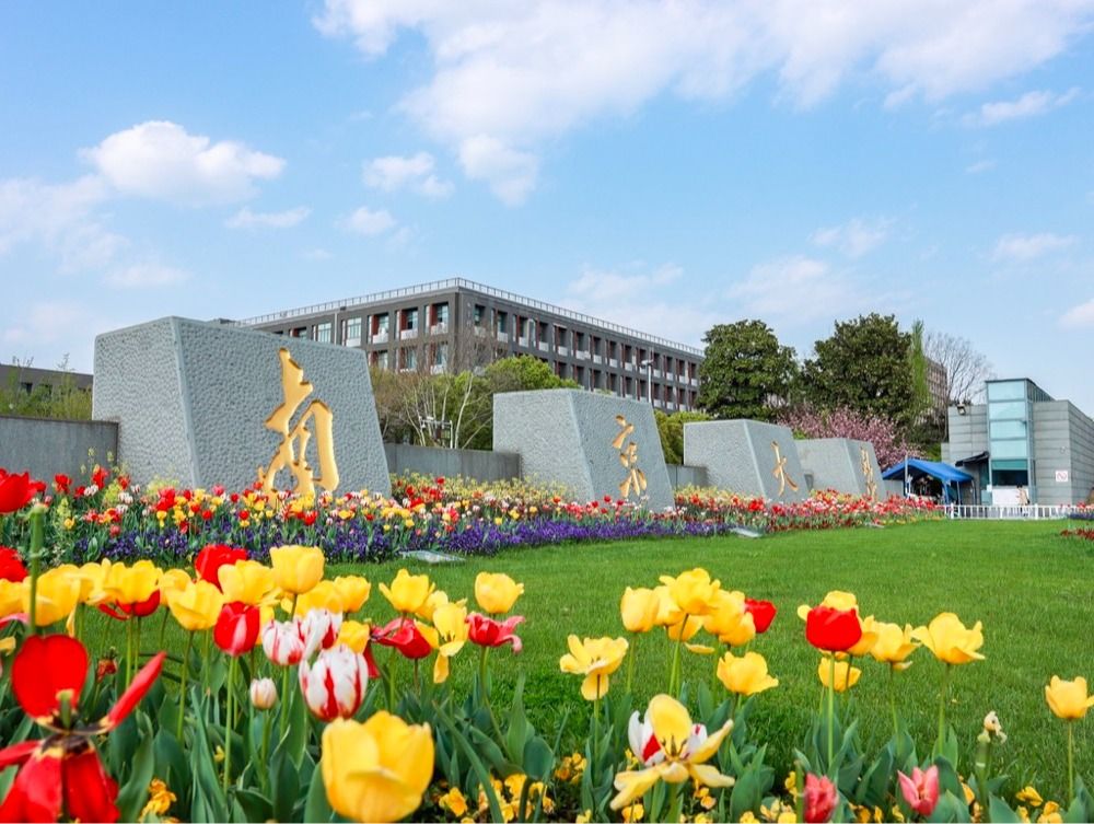 世界杯投注平台