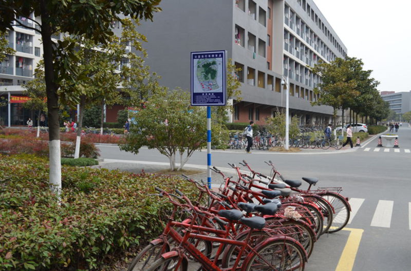 世界杯投注平台