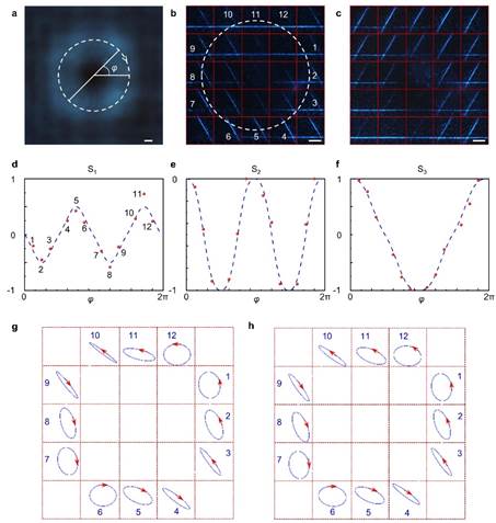 世界杯投注平台
