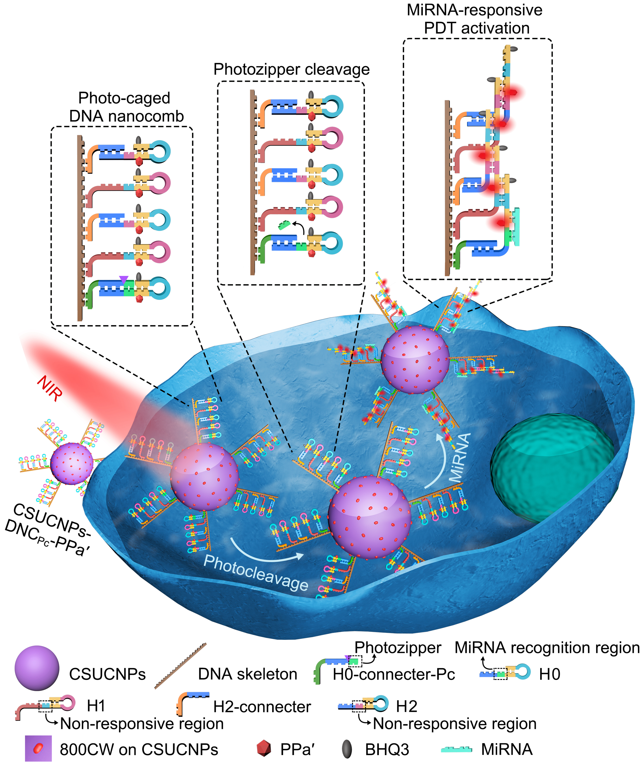 世界杯投注平台