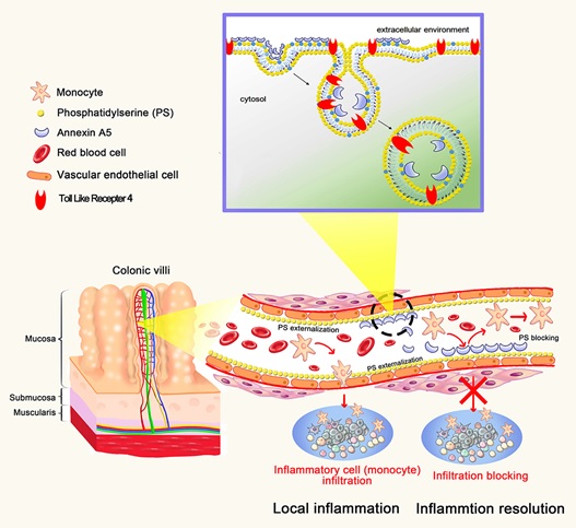 1 世界杯投注平台
