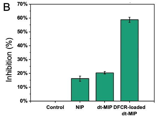 世界杯投注平台