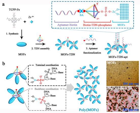 世界杯投注平台