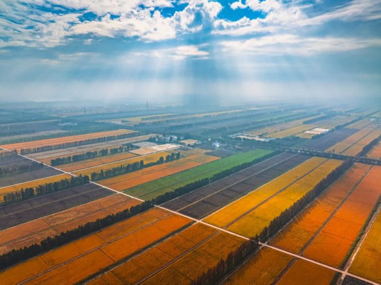 世界杯投注平台