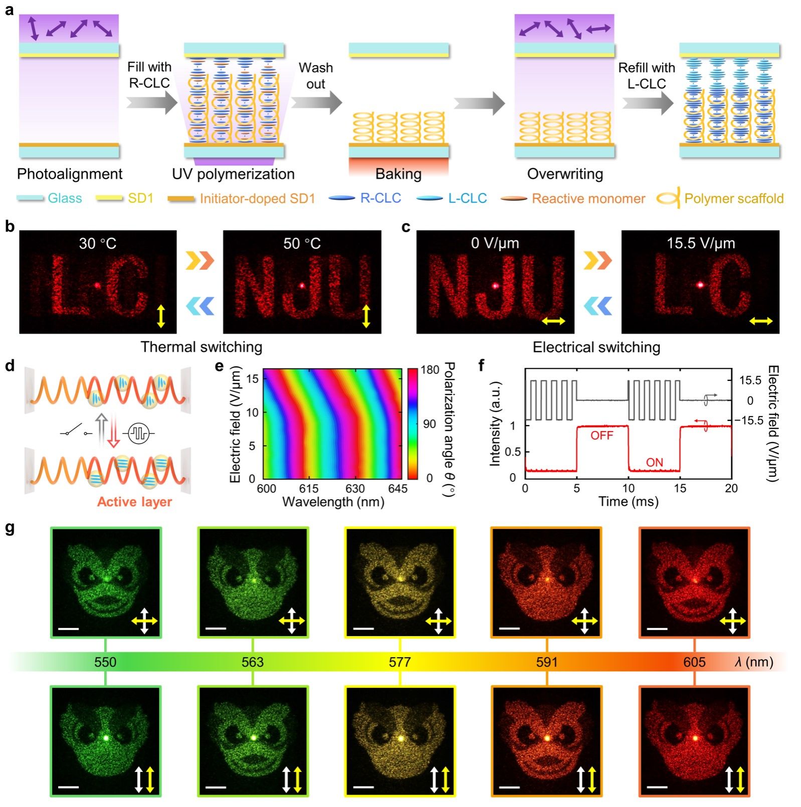 世界杯投注平台