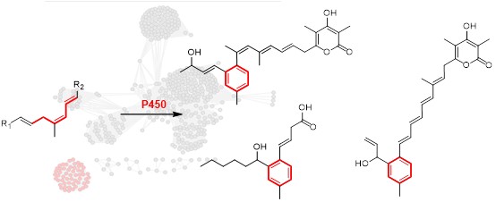 戈1 世界杯投注平台