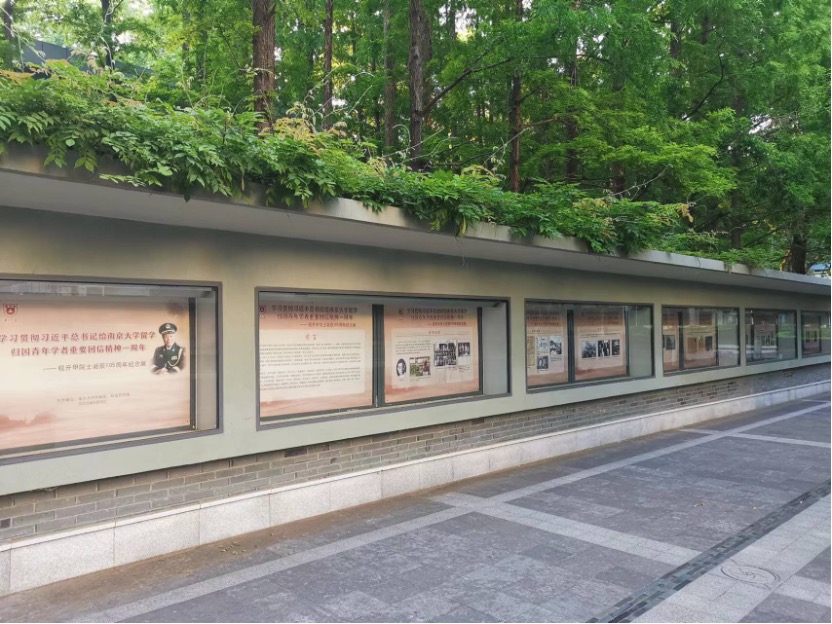 世界杯投注平台