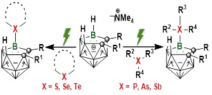 世界杯投注平台