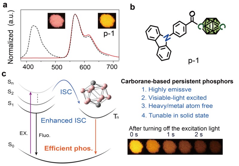 世界杯投注平台