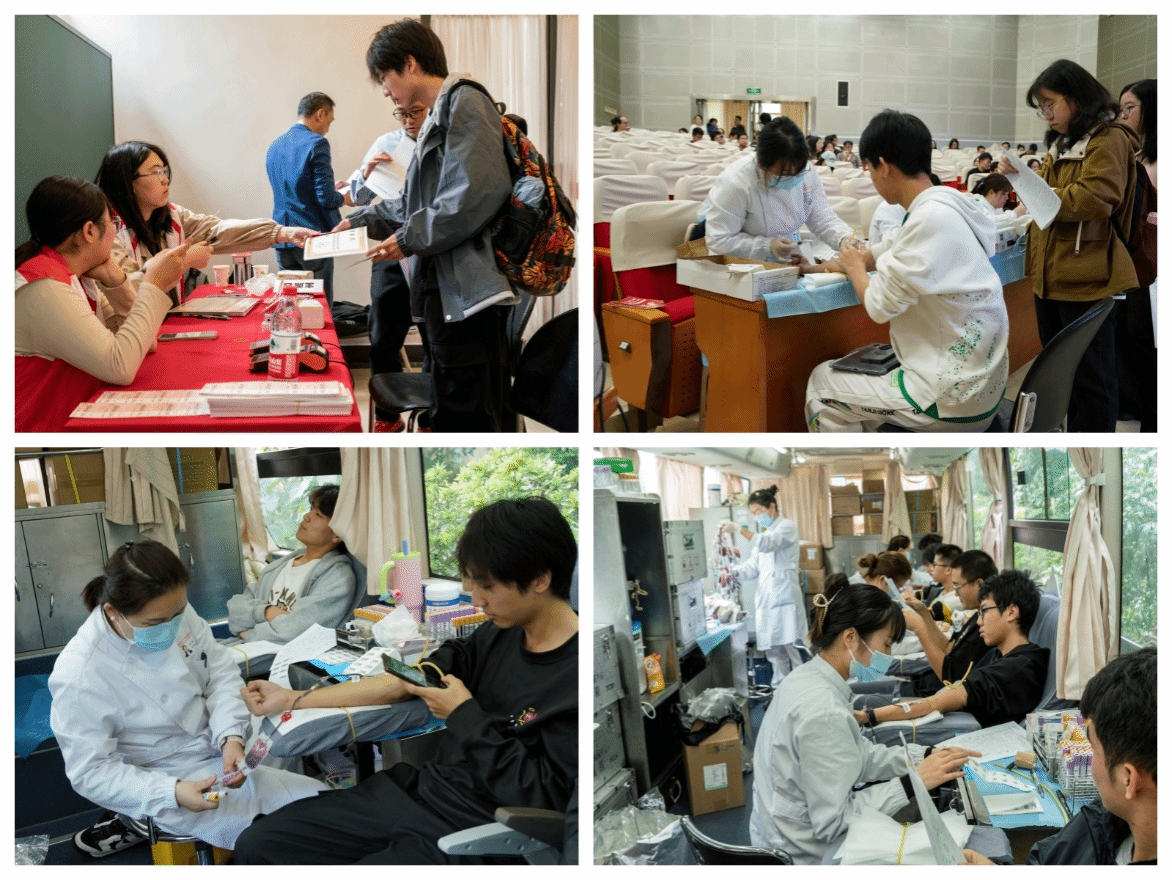 世界杯投注平台