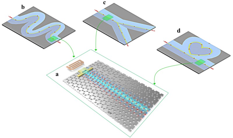 世界杯投注平台