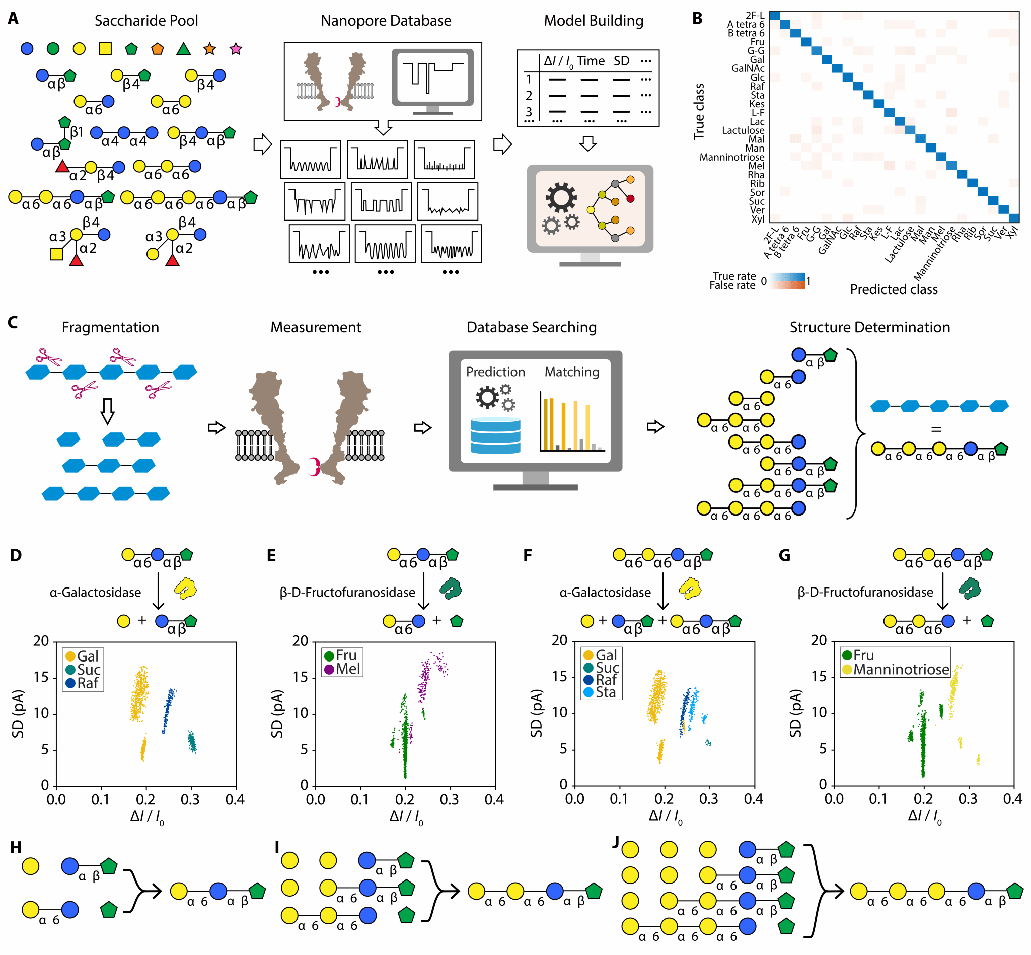 世界杯投注平台