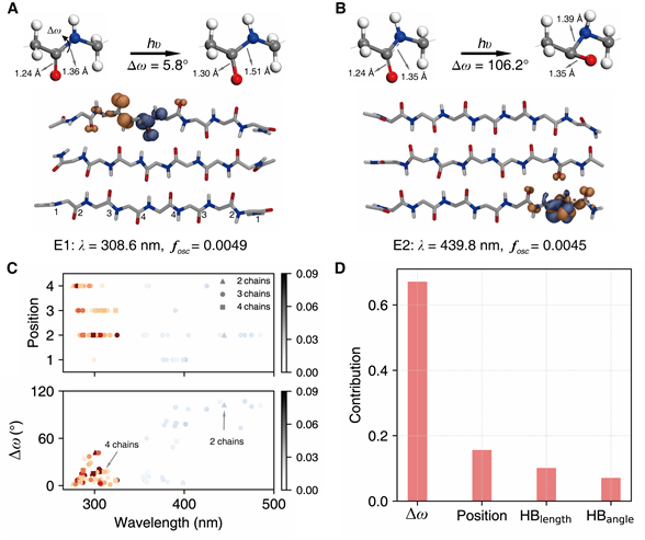 世界杯投注平台