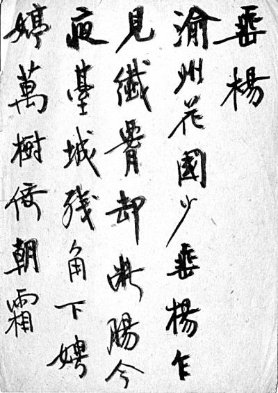 世界杯投注平台