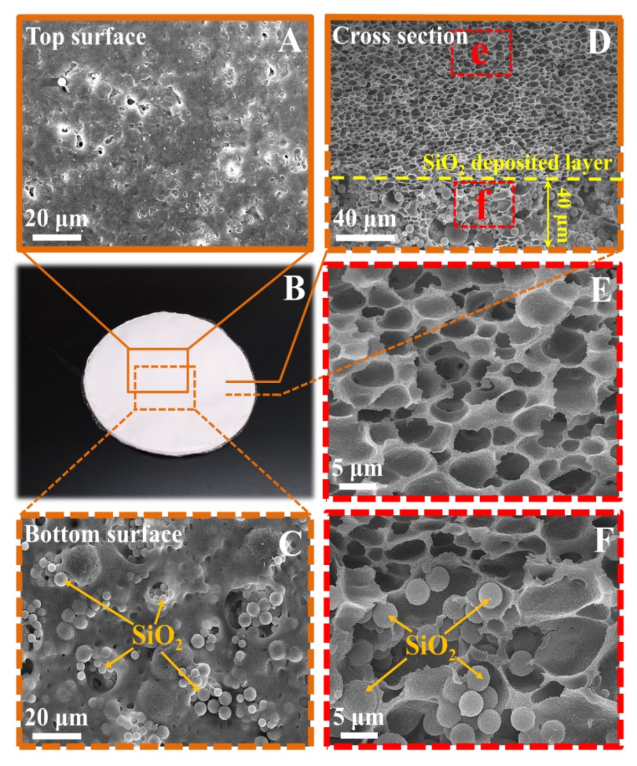 世界杯投注平台
