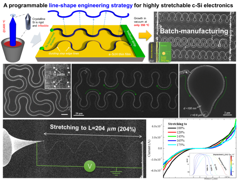 世界杯投注平台