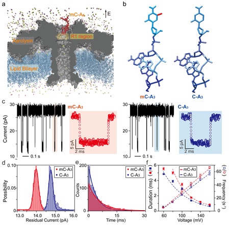 世界杯投注平台