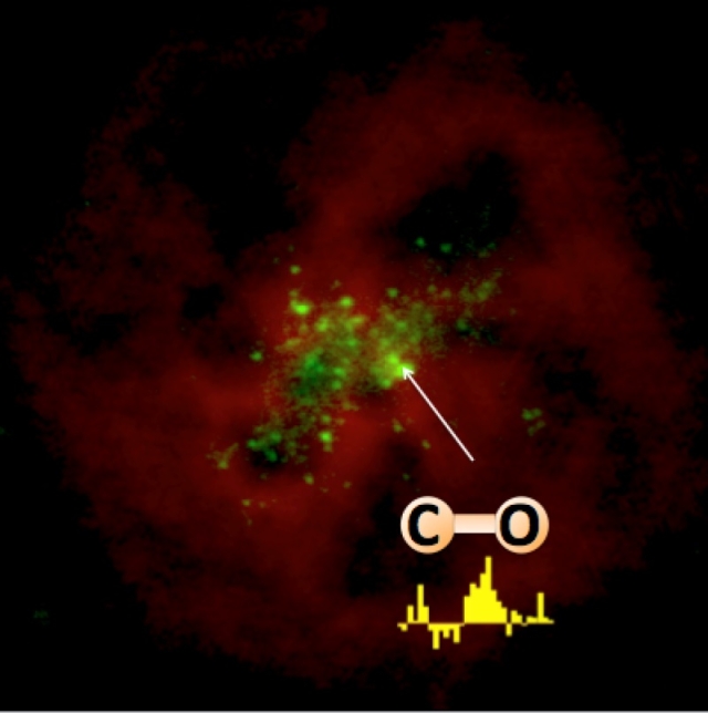 世界杯投注平台