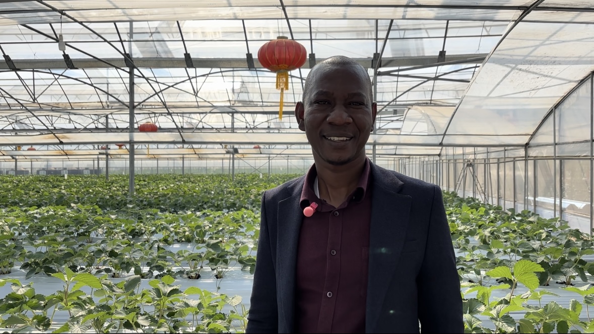 世界杯投注平台