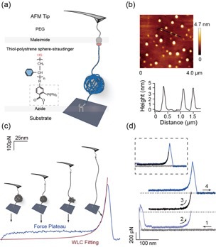 世界杯投注平台