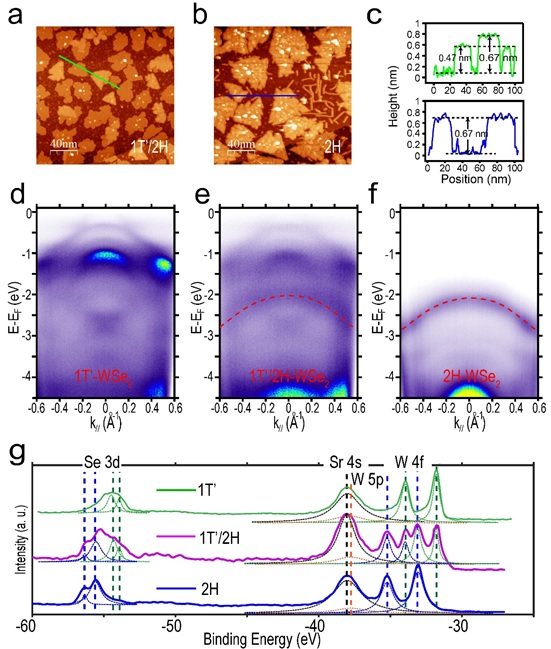 2-1 世界杯投注平台