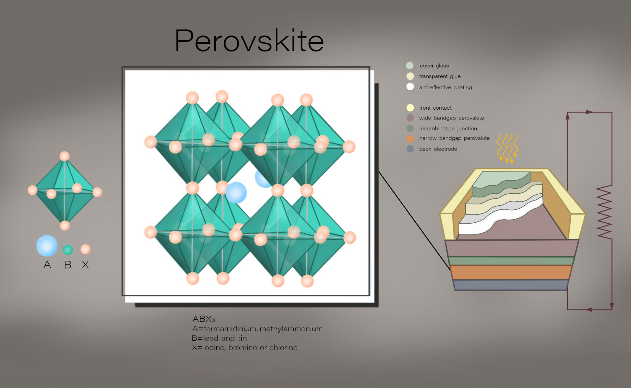世界杯投注平台