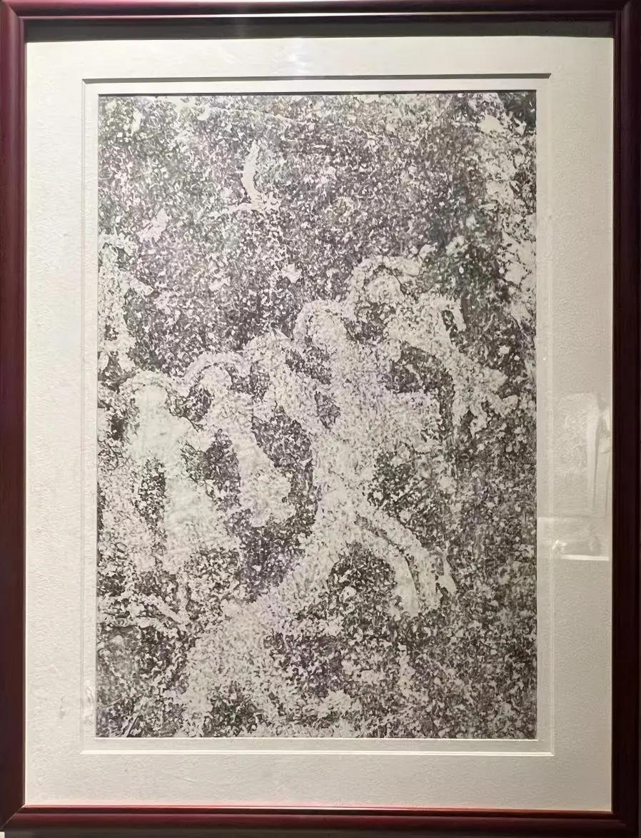 世界杯投注平台