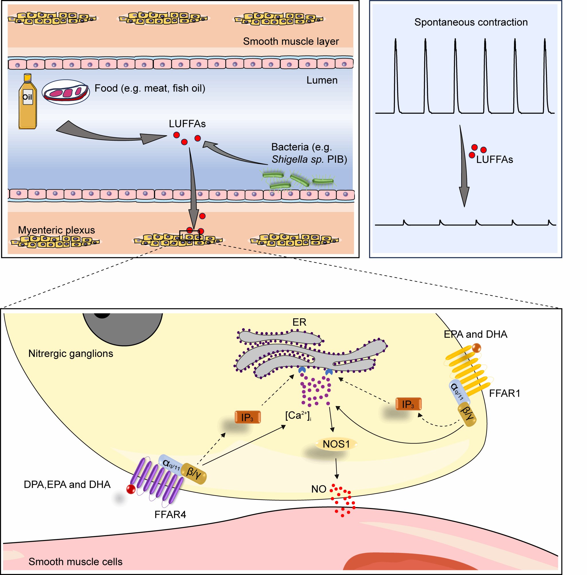 世界杯投注平台
