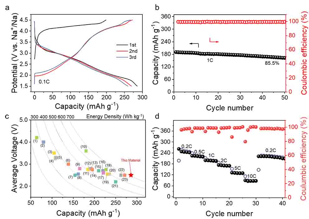 世界杯投注平台